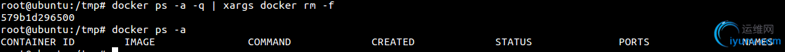 DSC0003.png