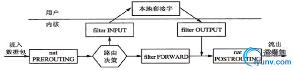 DSC0001.gif
