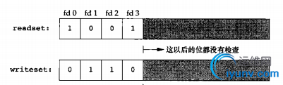 DSC0003.png