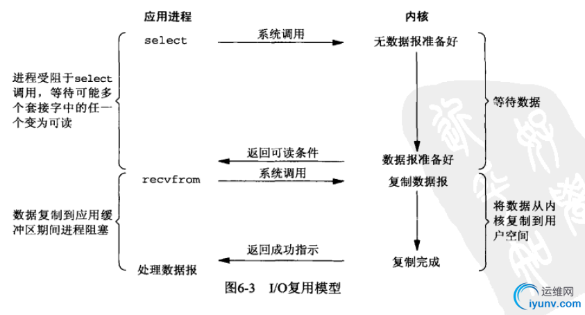 DSC0003.png