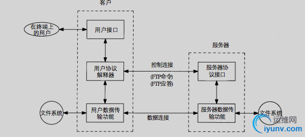 DSC0000.jpg