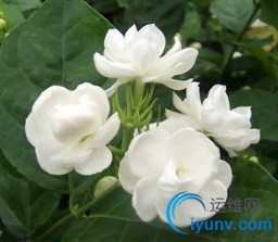 DSC0000.jpg