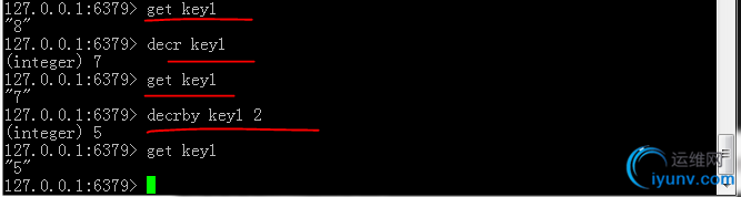DSC00016.jpg
