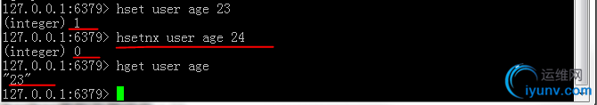 DSC00020.jpg