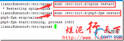 DSC00017.png