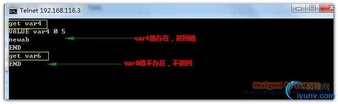 DSC00020.jpg