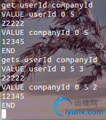 DSC0004.png