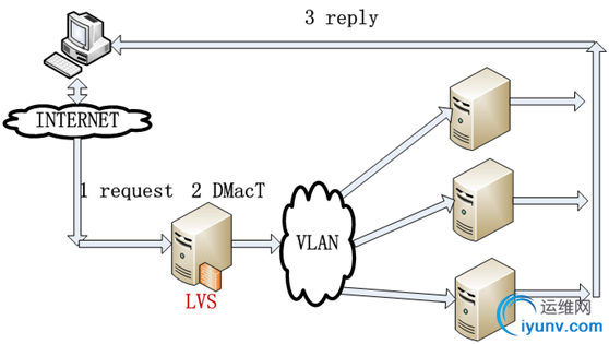 DSC0006.png