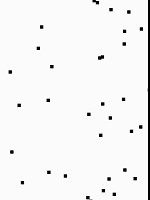 DSC0000.gif