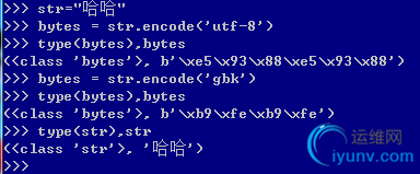DSC0000.png