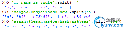 DSC00019.png
