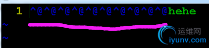 DSC0000.png