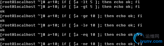 DSC00035.png