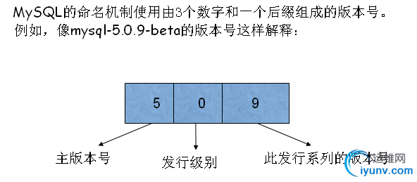 DSC0007.png
