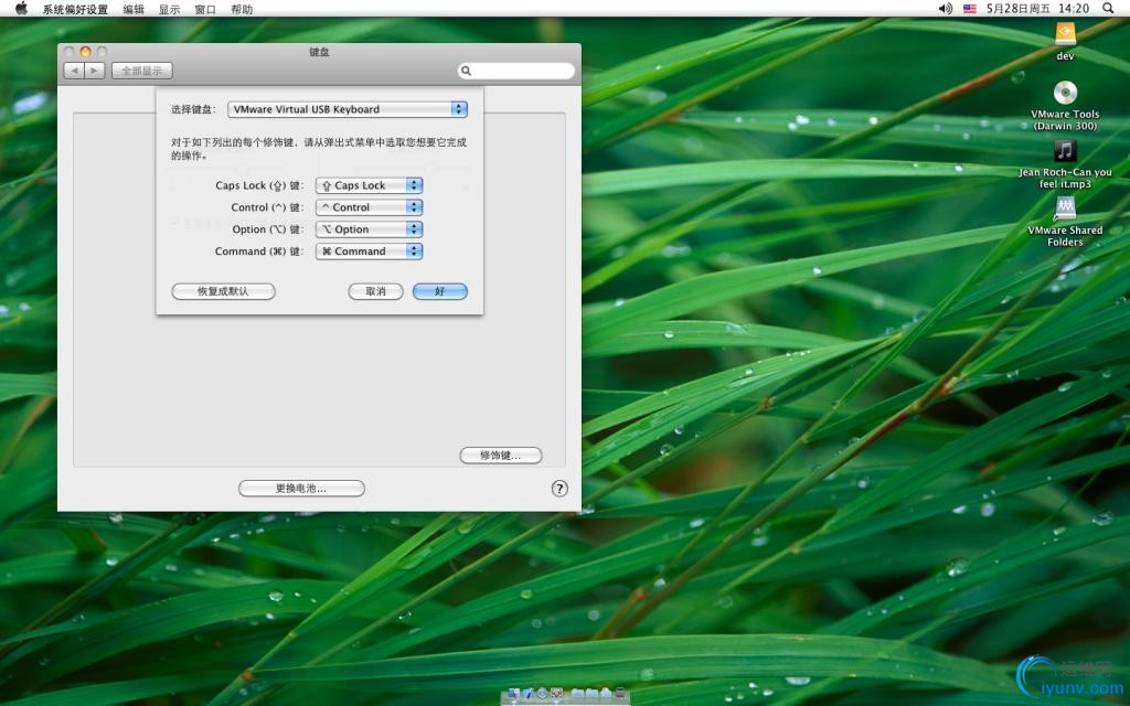 DSC0000.gif