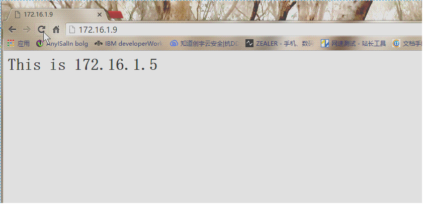 1460173699199238.gif