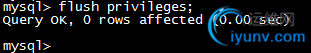 DSC00010.png