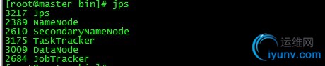 DSC00013.jpg
