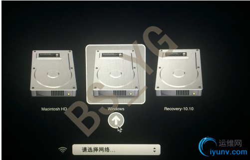DSC00010.png