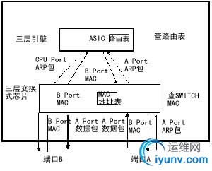 DSC0000.jpg