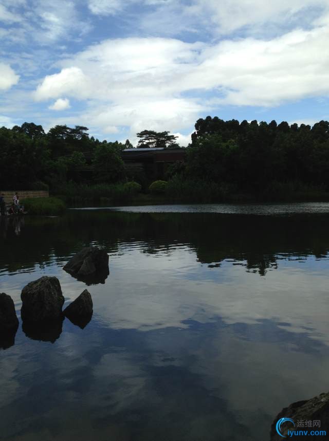 DSC0001.jpg
