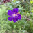 DSC00030.jpg