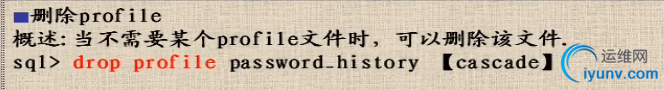 DSC0003.png