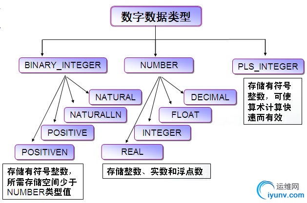 DSC0002.jpg