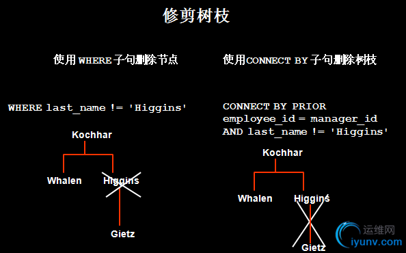 DSC00012.png