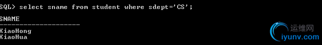 DSC0009.png