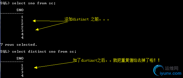 DSC0008.png