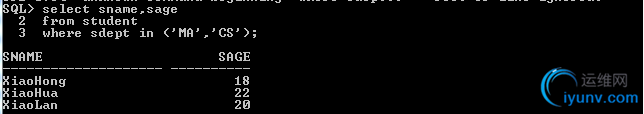DSC00012.png