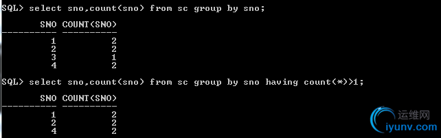 DSC00025.png