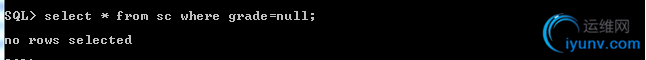 DSC00017.png