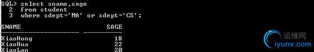 DSC00019.png