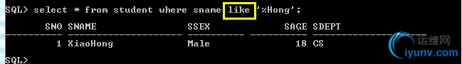 DSC00013.png