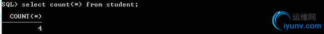 DSC00021.png
