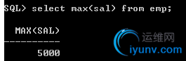 DSC00036.png