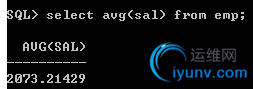 DSC00035.png