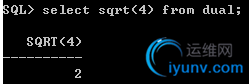 DSC00029.png