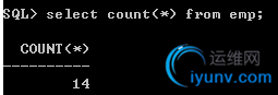 DSC00038.png