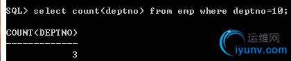DSC00039.png