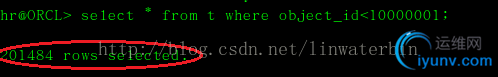 DSC0000.jpg