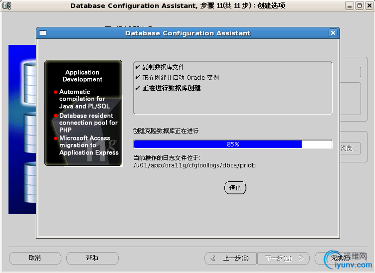 DSC0009.png