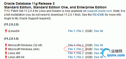 oracle2.jpg