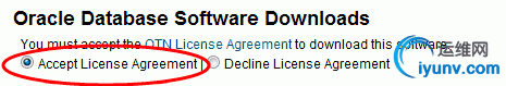 oracle1.jpg