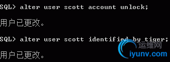 oracle3.jpg