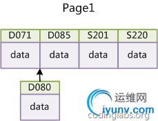 DSC00013.png