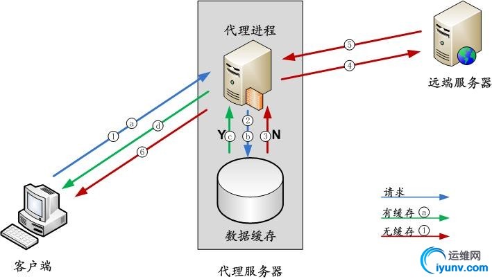 241527357672511.jpg