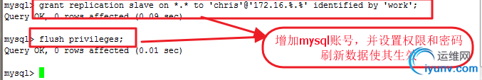 DSC0006.png